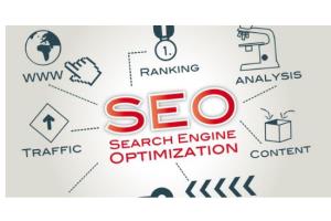 Portfolio for search engine optimization